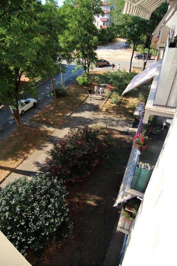 Apartament Apartman Stella Veruda Pula Zewnętrze zdjęcie